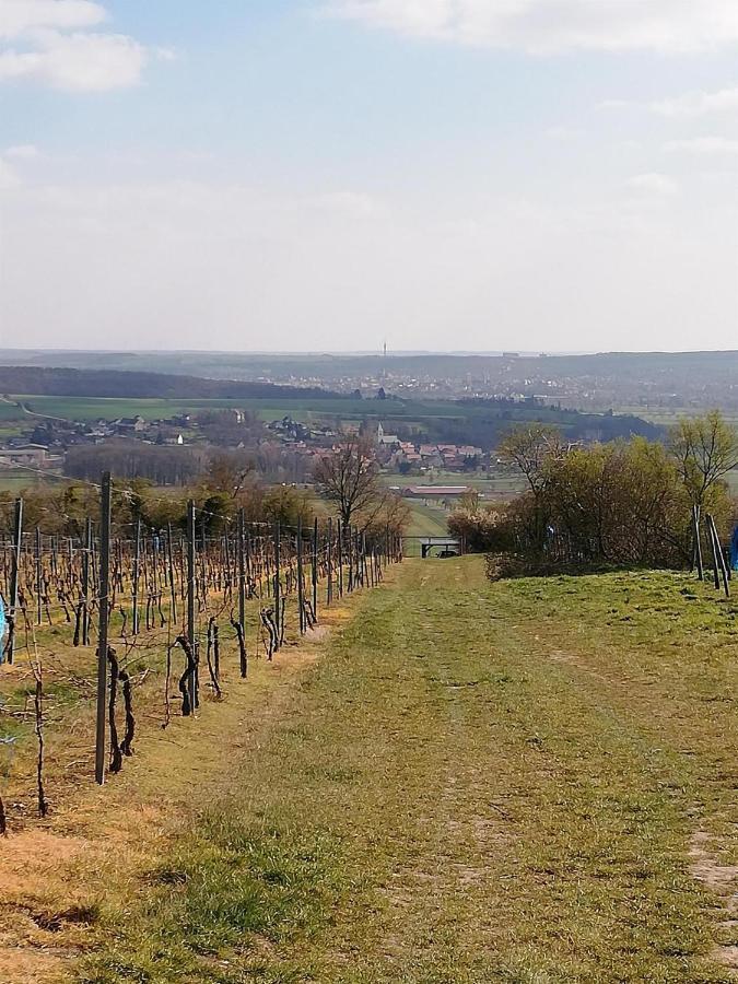 Ferienwohnung Moritzwiese Naumburg  Esterno foto